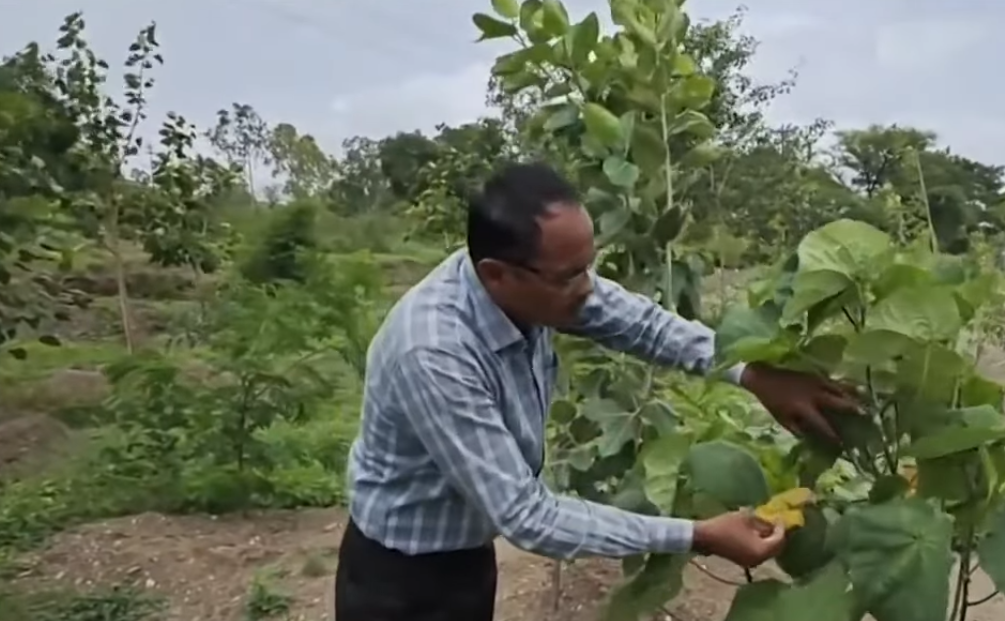 70 trenches, hundreds of trees — Meet the man behind Pune’s Oxygen Park!