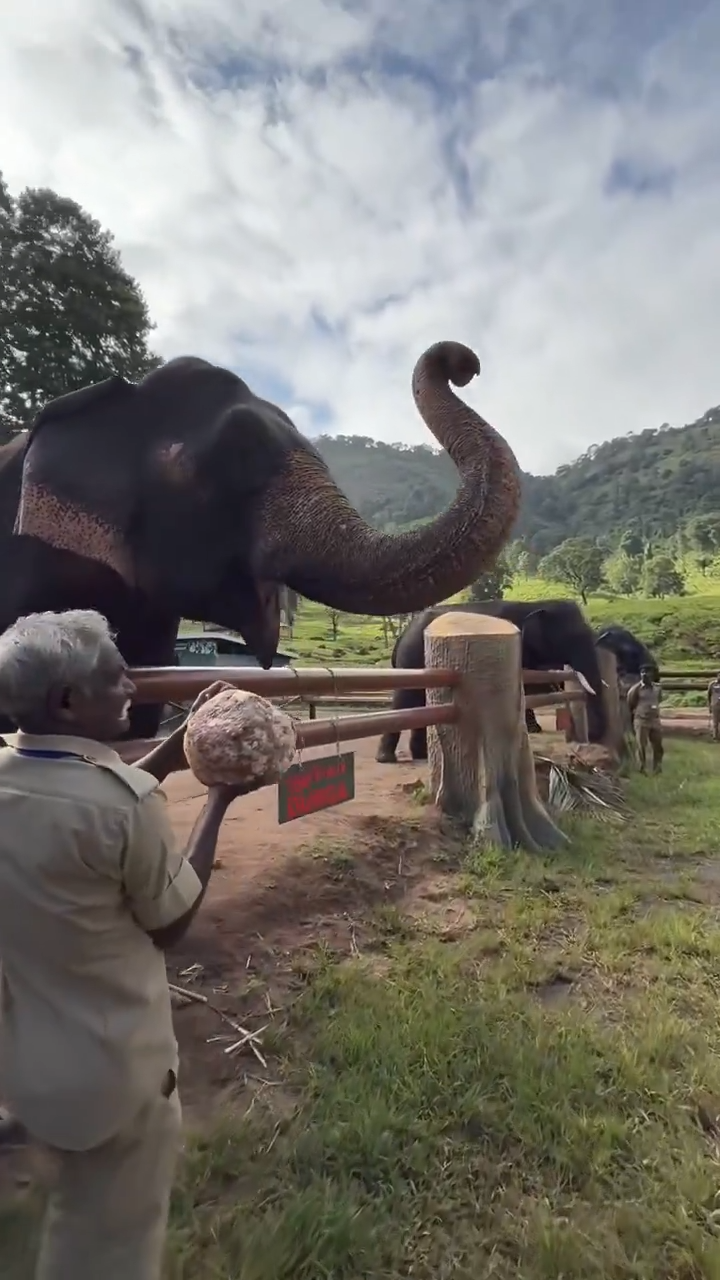 At Kozhikamudi elephant camp in Tamil Nadu… : Supriya Sahu IAS – Addl CS Govt of TN