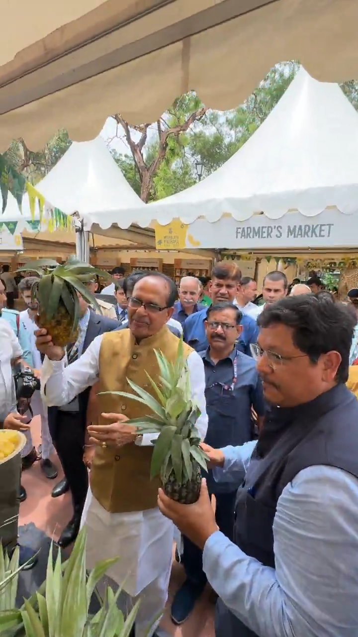 Once you taste the pineapple of Meghalaya…