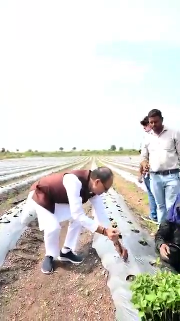 Today, I planted bell pepper in my field: Shivraj Chouhan – Union Minister of Agriculture