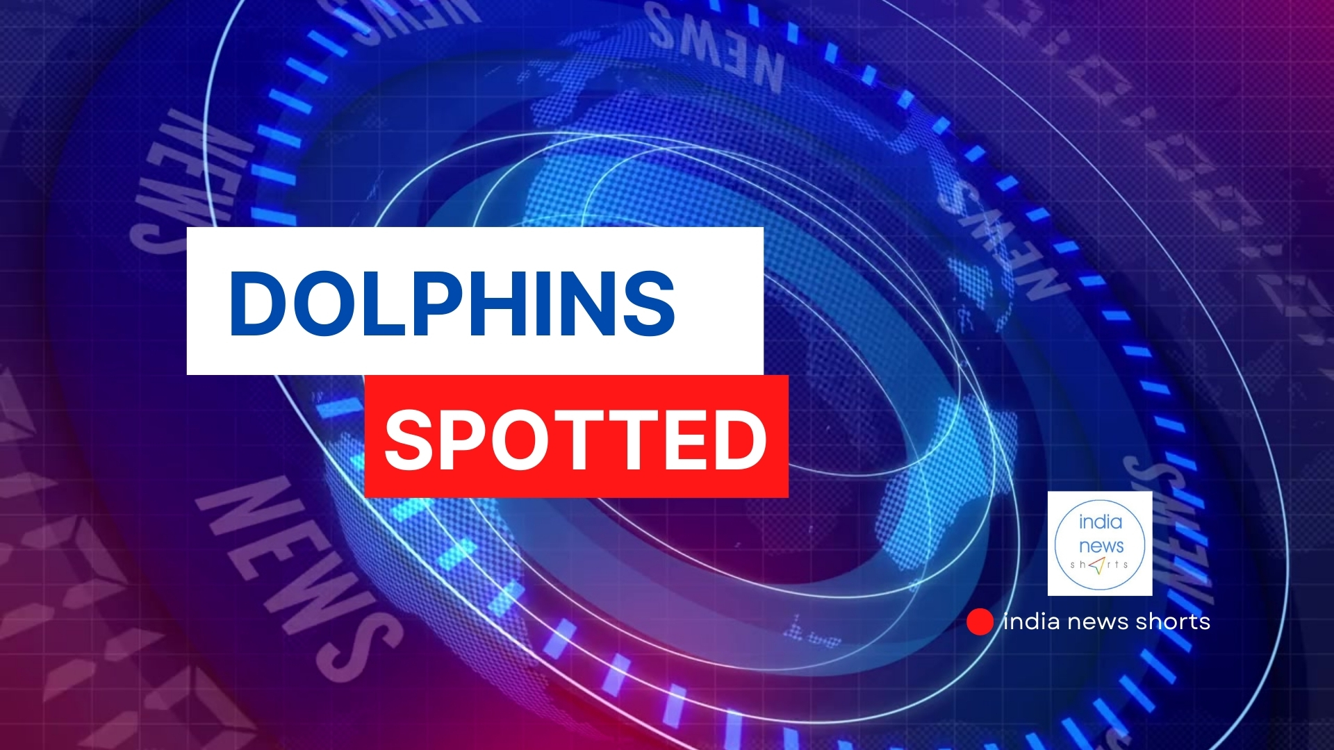 On day 10 INSV Kaundinya roughly 290 nautical miles from Muscat I Some dolphins visited us yesterday